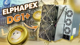 New BEST Dogecoin Miner for 2024  Elphapex DG 1 PLUS Review amp Profits [upl. by Fidole]