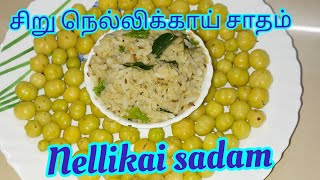 NELLIKAI SADAM RECIPES  QUICK RECIPES  BOOST IMMUNE TO YOUR BODY  GOOSEBERRY RICE  LUNCH [upl. by Bourne785]