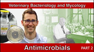 Antimicrobials Part 2  Veterinary Bacteriology and Mycology [upl. by Aniuqaoj584]