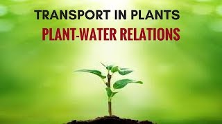 Transport in Plants PlantWater Relations [upl. by Vincenz]