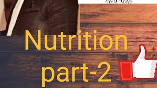 photoautotrophic Nutrition and chemoautotrophic nutrition life processes class10 part3 [upl. by Arnoldo]