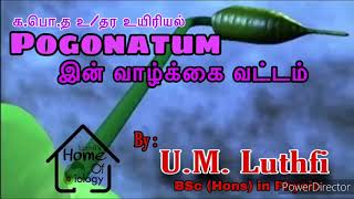 Pogonatum இன் வாழ்க்கைவட்டம்Life Cycle of PogonatumUM Luthfi BSc Hons in Physio [upl. by Fowkes]