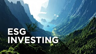 What is ESG Investing [upl. by Lorens]