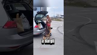 Questo cane ha salvato la loro vita😳🥺 [upl. by Dustan]