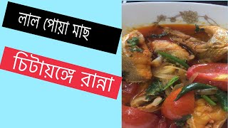 Poa Mach Chittagong Style Simple Recipe [upl. by Dambro36]