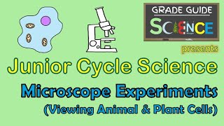 Microscope Experiments Viewing Animal amp Plant Cells  Junior Cycle Science  Revision Video [upl. by Ikiv97]