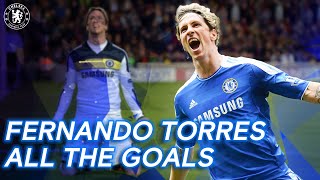 Fernando Torres  All the Goals  Best Goals Compilation  Chelsea FC [upl. by Damal157]