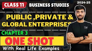 PUBLICPRIVATE AND GLOBAL ENTERPRISE Chapter 3 Business Studies CLASS 11 [upl. by Duffie]