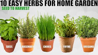 Top 10 Easy To Grow Herbs For Beginners  SEED TO HARVEST [upl. by Morissa]