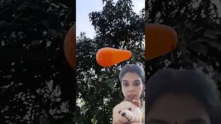 Anaya ka balloon Dekho Kaise Udata ja raha hai 🤗 shorts [upl. by Whitman]