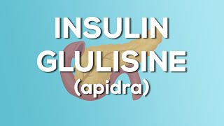 Insulin Glulisine Apidra Nursing Drug Card Simplified  Pharmacology [upl. by Mauldon]