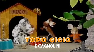 Topo Gigio ©  TG e Cagnolini [upl. by Beauvais71]