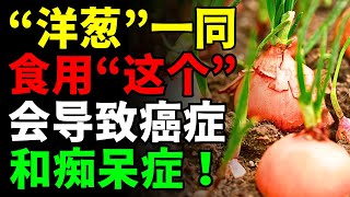 警告！这些食物绝不能和“洋葱”一起吃，可能引发癌症和痴呆！🧅揭秘三种与洋葱搭配的超级健康食物，帮你消炎排毒、提升免疫力！🔥 还有三个最佳食谱必看【健康功效  营养误区  抗癌食物  免疫力提升】 [upl. by Ilegna709]