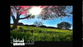 Libyan MusicAna Libi I am Libyan [upl. by Ivan]