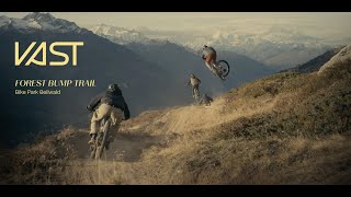 Forest Bump Trail  Bike Park Bellwald [upl. by Ysnap]