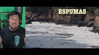 ESPUMAS Javier Solis cover [upl. by Kieryt]