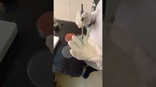 URINE CULTURE PROCCESS hospital laboratorylife doctor medicallaboratory sciencelab [upl. by Eliak]