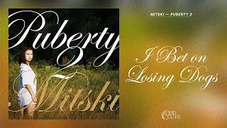 Mitski  I Bet on Losing Dogs Official Audio [upl. by Ylyl]