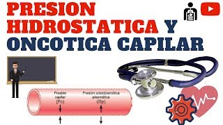 PRESIÓN HIDROSTATICA Y PRESION ONCOTICA CAPILAR [upl. by Hetti]