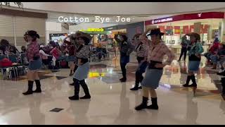 Cotton Eye Joe line dance 💃 [upl. by Francesca]