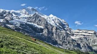 스위스 융프라우의 풍경 Beautiful Scenery of Jungfrau SwitzerlandJungfraubahn Jungfrau Eiger Walk20240625 [upl. by Helmut214]