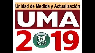 UMA 2019 Modalidad 40 y Modalidad 44 del IMSS [upl. by Asiuqram144]