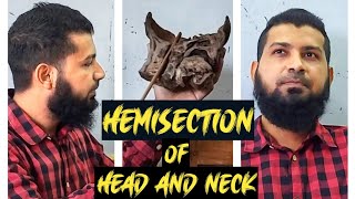 Hemisection of Head amp Neck  Demo  Anatomy  Part 1 [upl. by Valery]