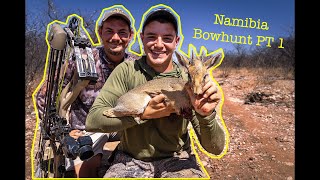 Namibia Bowhunting Adventure Part 1  Double up on Dik Diks [upl. by Irrem]