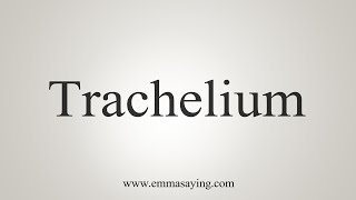 How To Say Trachelium [upl. by Enniroc]