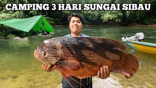 Camping fishing 3 hari hujan deras pertualangan dapat ikan kaloi besar panggang ikan makan di hutan [upl. by Yrogerg]