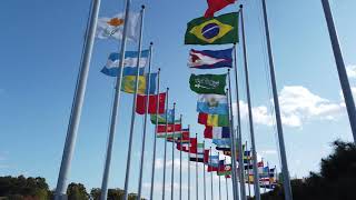 【4K Seoul】 Multinational flags waving in the strong wind [upl. by Alludba]