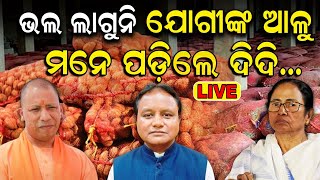 CM Mohan Majhi News Live ବାବା ହେଲେ ଦୟାଳୁ  Yogi Adityanath  Potato Price Hike In Odisha Odia News [upl. by Anelac930]