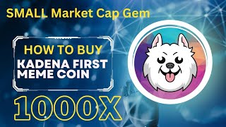 How To Buy Kishu Ken  Kadena First Meme Coin crypto kadena kda [upl. by Sheets]