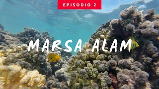 Marsa Alam  Barriera corallina dal Pontile  Bravo Fantazia  pt2 [upl. by Ahk]