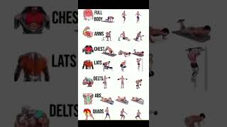 UPPER BODY WORKOUT WITH DUMBBELLS Shoulderforearmschesttricepsbackbiceps [upl. by Bum]