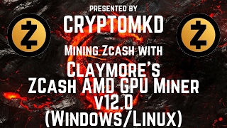 How to mine with Claymores ZCash AMD GPU Miner v12 0 [upl. by Eartha843]