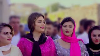 Best Kurdish dance 2024 by Farshad Amini  Best kurdish wedding 2024 [upl. by Nomor]