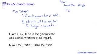 nanogram per microliter to nanomolar conversion [upl. by Yerhcaz]