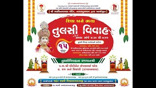 Naranpura Mandir  Tulsi Vivah [upl. by Ycniuqed2]