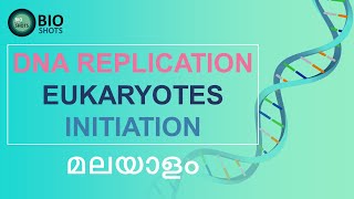 DNA REPLICATION IN EUKARYOTES  INITIATION  Detailed explanation Malayalam [upl. by Maples]