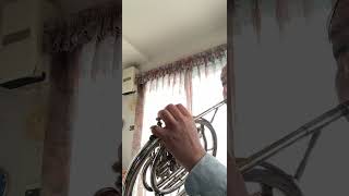 【FrancaixDivertimento1mvt】selmer1064 horn pistonhorn ホルン ascendindhorn ピストンホルン cor [upl. by Robinet352]