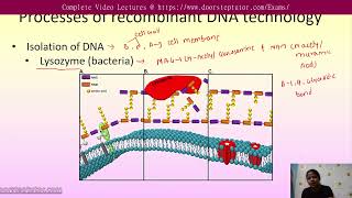 Process of Recombinant DNA Technology  Biotechnology  NEET UG Biology [upl. by Ladnar434]