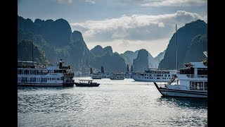 Halong Bay Junk Boat Cruises Vietnam 🇻🇳 [upl. by Yasnil]