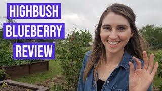 Highbush Blueberry Review [upl. by Lussier]