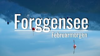 Forggensee Ostallgäu  Februarmorgen [upl. by Brunelle]