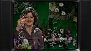 TV Nederland 1  Omroepster Petra van Seventer Klok amp Vuurwerk 19811982 19811231  Oud amp Nieuw [upl. by Odlabu559]