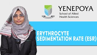 Erythrocyte Sedimentation Rate  Medical Laboratory Technology  YSAHS [upl. by Dnumde]