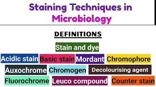 🎨Staining Techniques in Microbiology by Dr Pooja Kakde EnglishMarathi university [upl. by Tletski783]