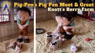 PigPens Pig Pen – Baby Pig amp Character Meet and Greet at Knotts Berry Farm [upl. by Fredi88]