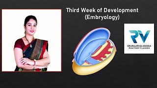 Third Week of Development General Embryology by Dr Rajitha Vanga [upl. by Trina]